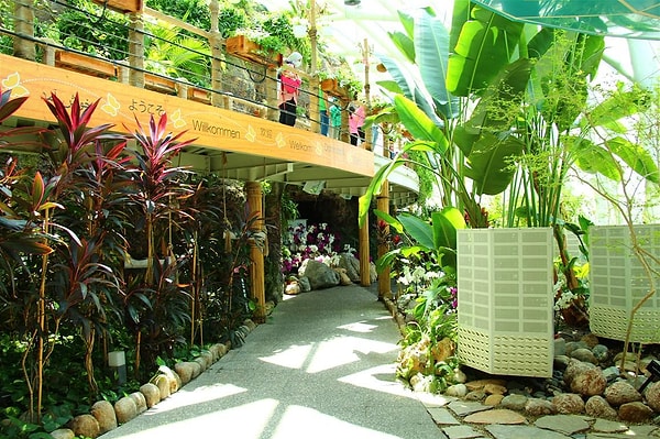 4. Step Into a Paradise of Colours at the Tropical Butterfly Garden