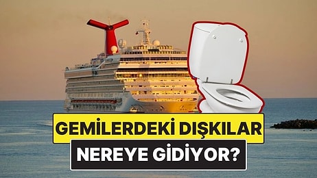 Yolcu Gemilerindeki Dışkılar Nereye Gidiyor?