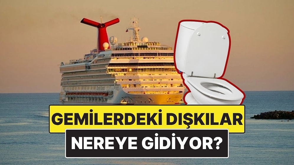 Yolcu Gemilerindeki Dışkılar Nereye Gidiyor?