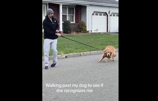 Gerçek dostluk 😻