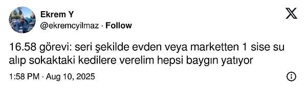 👇