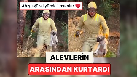 Çanakkale'deki Yangına Müdahale Eden İtfaiye Eri Alevlerin Arasında Kalan Bir Köpek ve Kaplumbağayı Kurtardı