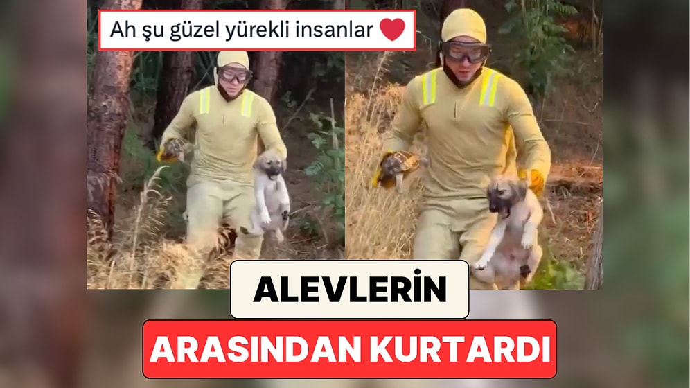 Çanakkale'deki Yangına Müdahale Eden İtfaiye Eri Alevlerin Arasında Kalan Bir Köpek ve Kaplumbağayı Kurtardı