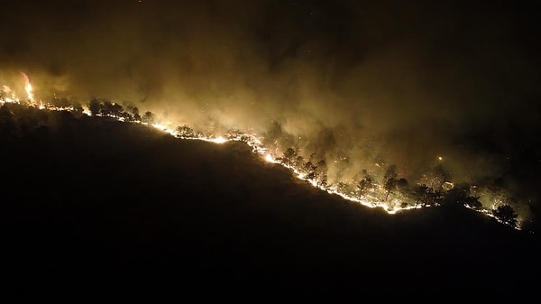 Çanakkale'deki orman yangınlarında mahsur kalan 348 kişi Sahil Güvenlik tarafından kurtarıldı.