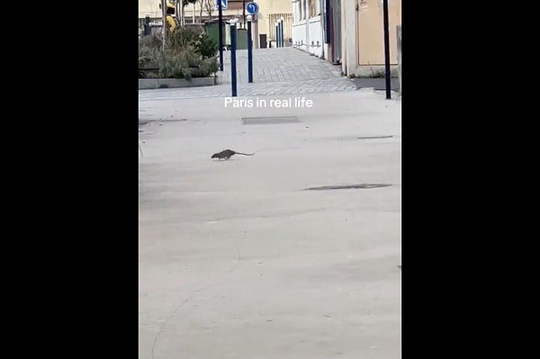 Sosyal medyada Paris/ Gerçekte Paris