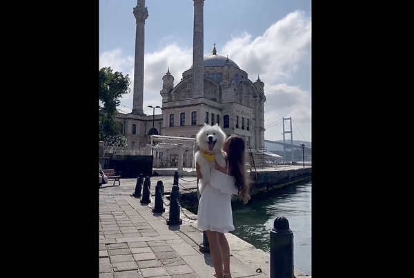 Dünyanın en tatlı gezgini 😻