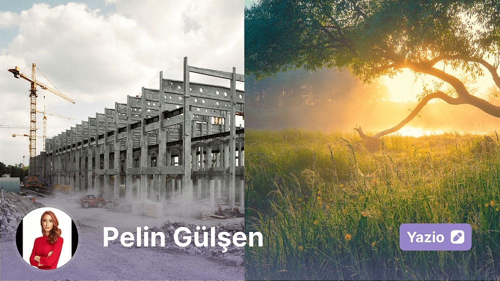 Dünyanın Renklerine Ne Oldu ?