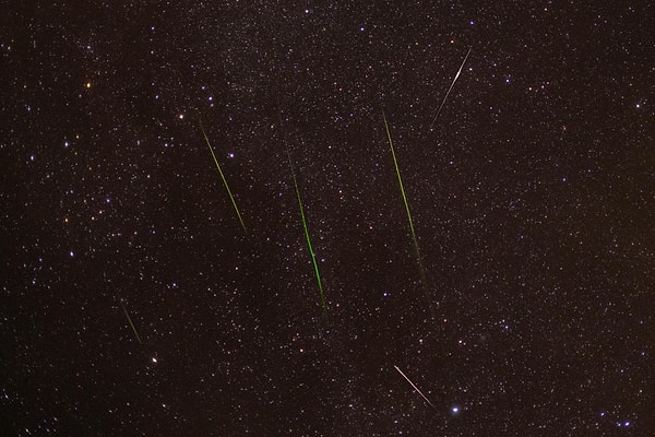 Have you heard about the Perseid Meteor Shower Visual Spectacle Event?