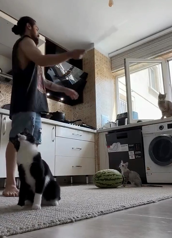 Bu anın videosu sosyal medyaya düşer düşmez, izleyenler gülümsemeden edemedi.