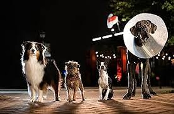 15. Strays (2023)