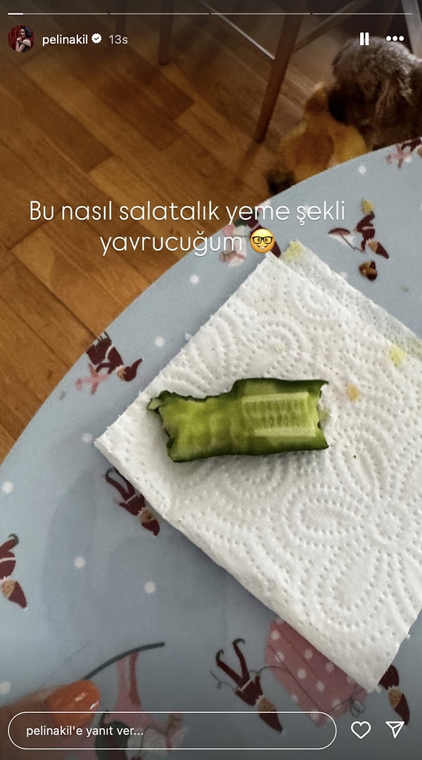 Pelin Akil