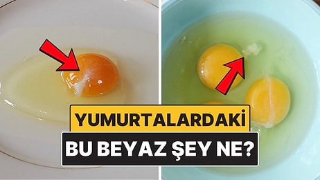 Yumurtaların Üstündeki Bu Beyaz Şey Tam Olarak Ne?