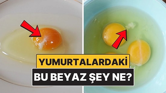 Yumurtaların Üstündeki Bu Beyaz Şey Tam Olarak Ne?