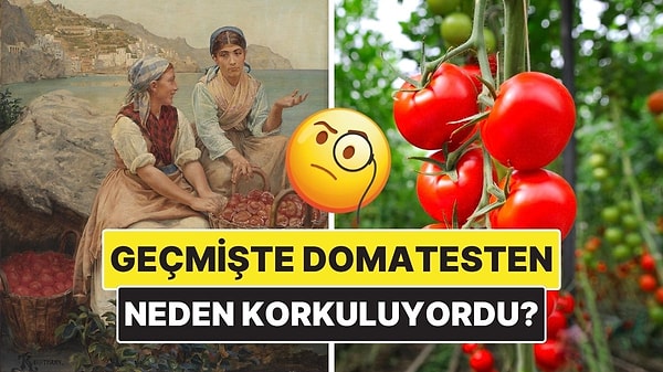 2. Bir Zamanlar Avrupa’da Domates Neden Korku Kaynağıydı?