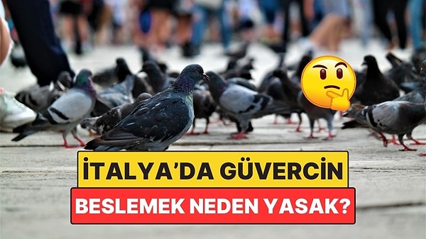 10. İtalya Sokaklarında Güvercin Beslemek Neden Yasak?