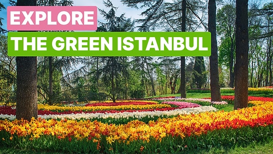 Best Parks, Gardens, and Green Spaces in Istanbul: A Nature Lover’s Guide