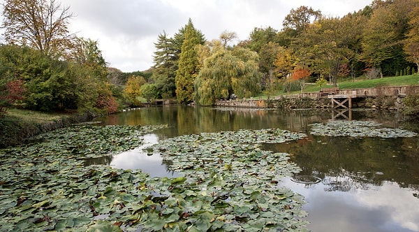 5. Atatürk Arboretum (Sarıyer)