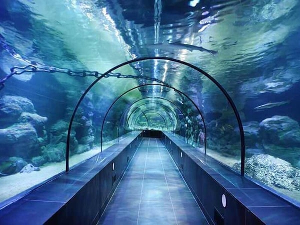 8. Istanbul Aquarium – Bakırköy / Florya