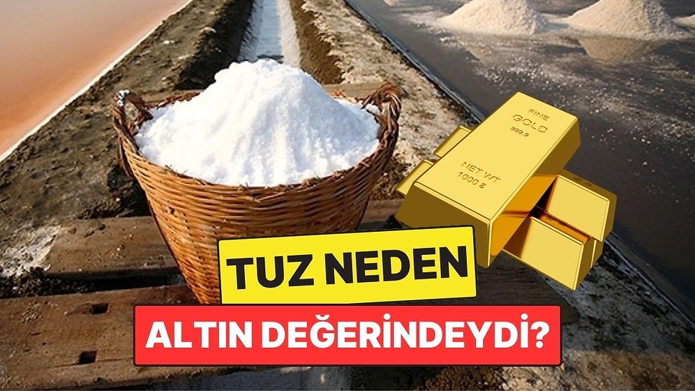 Antik Zamanlarda Tuz Neden Altın Değerindeydi? Maaş Olarak Bile Verilmiş!