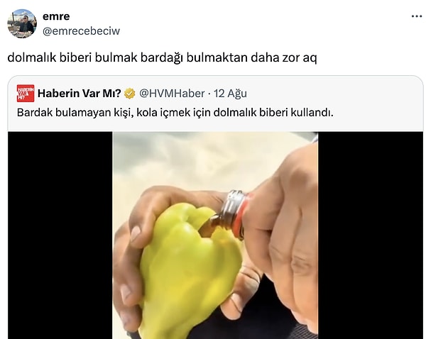 Doğada hayatta kalma rehberi...