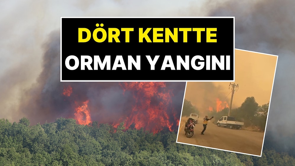 Dört Kentte Orman Yangını: Yangından Görüntüler Yürekleri Ağza Getirdi!