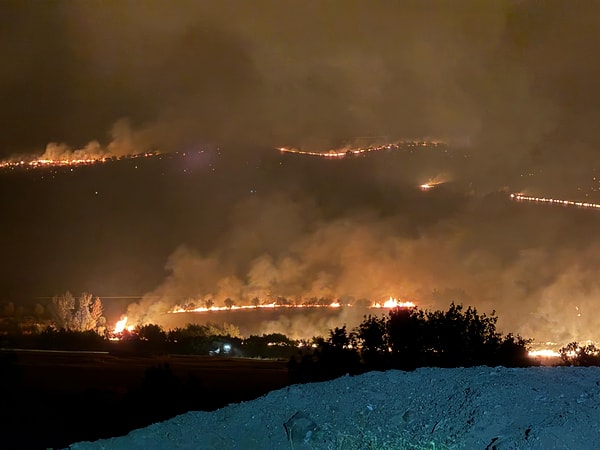 Diyarbakır'da orman yangını.
