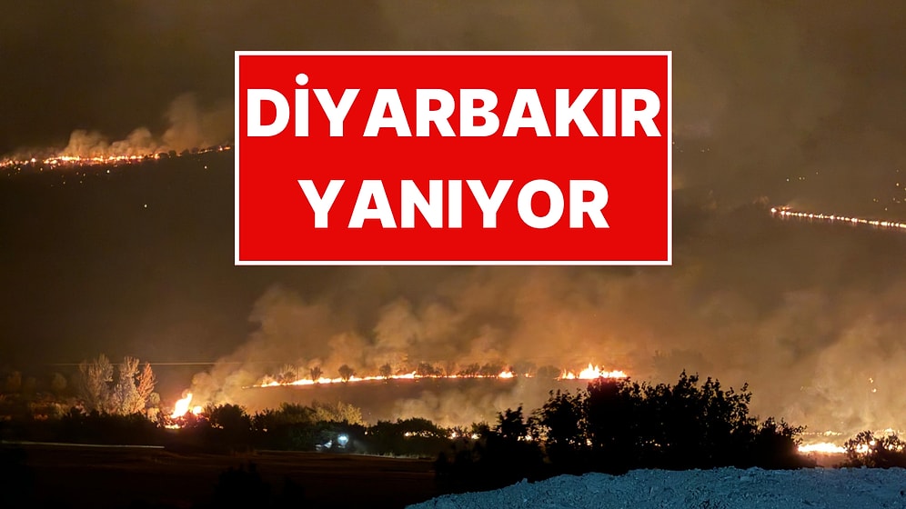Diyarbakır'da Orman Yangını: Görüntüler Yangının Boyutunu Gözler Önüne Serdi