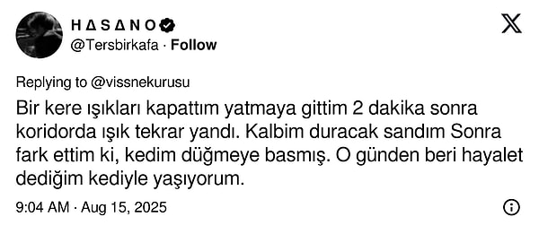 👇