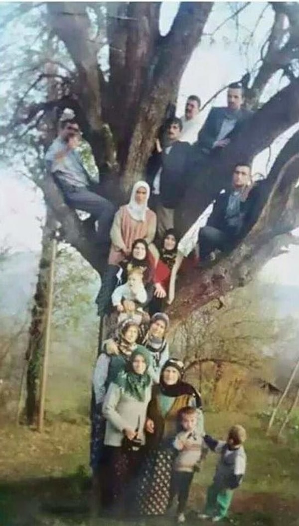 Aile her şeyimiz: Soyağacı