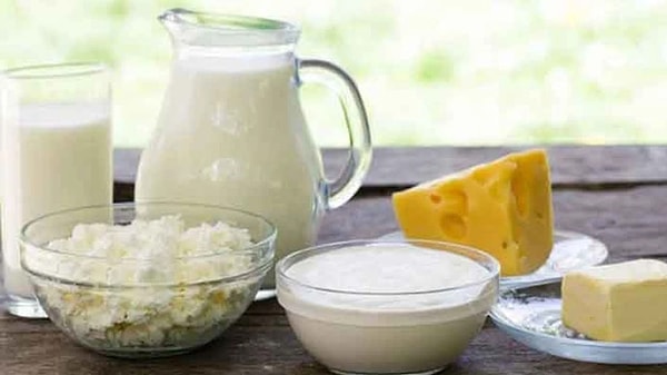 Süt ürünleri (Peynir ve tereyağı)