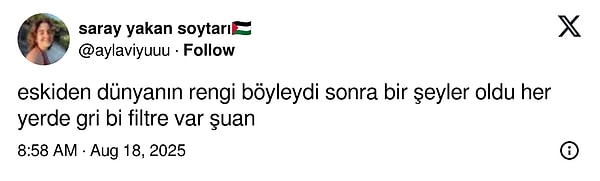 👇🏻