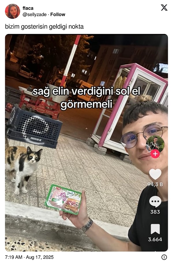 Kedi de pek mutlu değil.
