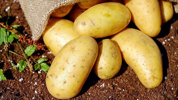 “Patatesin kilosunun 25 lira olması çok normal yalanı uyduruldu”