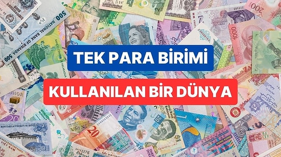 Yapay Zekaya Sorduk: Tüm Dünyada Tek Bir Para Birimi Kullanılırsa Ne Olur?