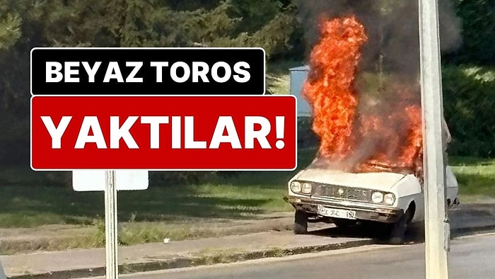Meclis Önünde Hareketli Dakikalar: TBMM Önünde Beyaz Toros Yakıldı