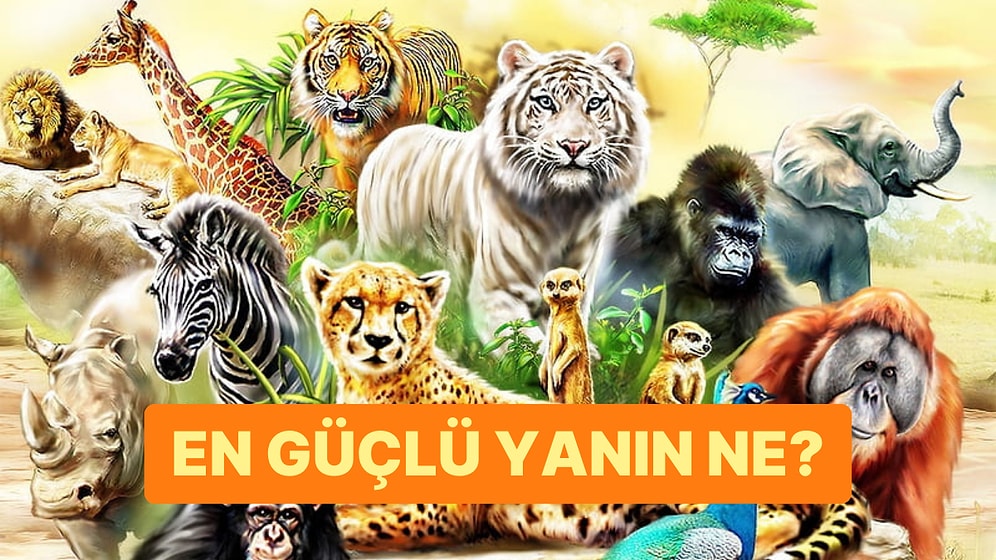 Hayvan Tercihin Senin Güçlü Yanlarını Gösteriyor!