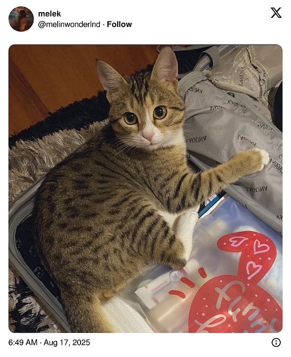 Nolmuşkine?