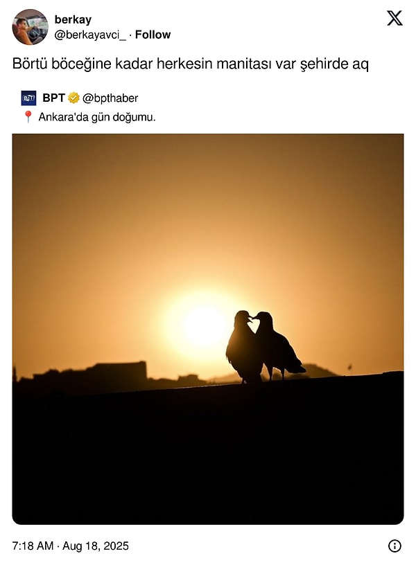 Tabii bu duruma kurulanlar da var...
