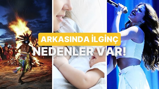 Soru Net: İnsan Neden Şarkı Söyler?