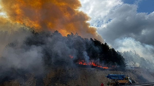 Bolu'nun Mengen ilçesinde ormanlık alanda yangın çıktı.