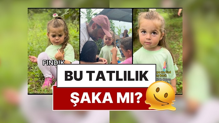 1 Yıl Önce "My Arkadash" ile Hayatımıza Giren Minik Sofia'nın Fındık Topladığı Anlar Yine Kalplerimizi Eritti