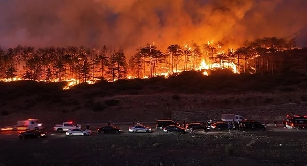 Türkiye’de bu yaz yaşanan orman yangınlarından en az fazla etkilenen illerden biri de Bursa olmuştu.