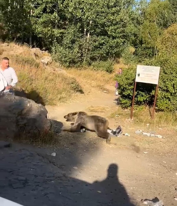 Bitlis'in Tatvan ilçesinde bulunan Nemrut Krater Gölü'nde geziye çıkan bir ailenin üzerine ayı saldırdı.