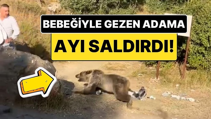 “Burası Türkiye, Normal Böyle Şeyler!” Kucağında Bebeğiyle Dolaşan Adama Ayı Saldırdı!