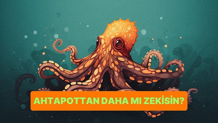 Ahtapottan Daha Zeki misin?