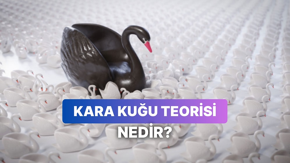 “Kara Kuğu” Teorisi Nedir? Ekonomide “Kara Kuğu” Olayının Sonuçları