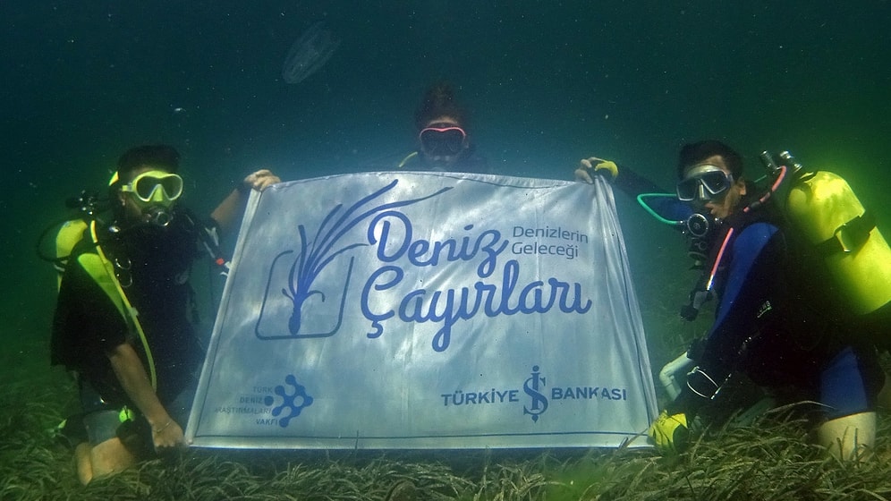 Denizleri Kurtarmak: Türkiye İş Bankası Genel Müdür Yardımcısı Suat Sözen Deniz Projelerini Anlattı
