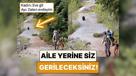 Orman Yürüyüşleri Sırasında Bir Ayı ile Karşılaşan Ailenin Rahatlığını İzlerken Siz Gerileceksiniz