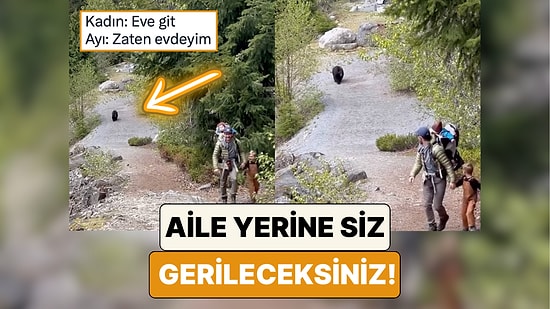 Orman Yürüyüşleri Sırasında Bir Ayı ile Karşılaşan Ailenin Rahatlığını İzlerken Siz Gerileceksiniz