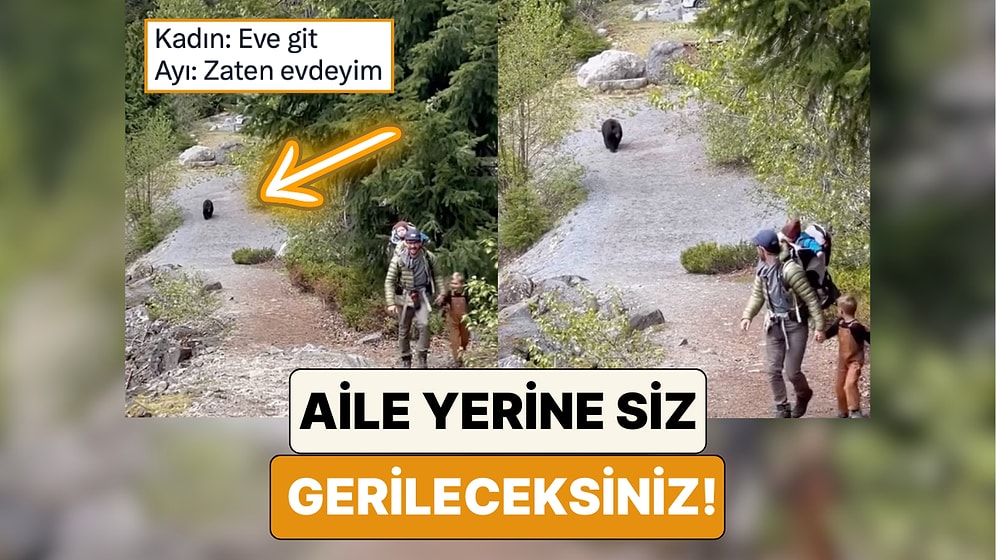 Orman Yürüyüşleri Sırasında Bir Ayı ile Karşılaşan Ailenin Rahatlığını İzlerken Siz Gerileceksiniz